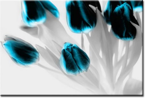 fototapety turkusowe kwiaty