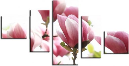 obraz magnolia