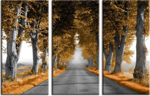 obraz drogi wśród starych drzew