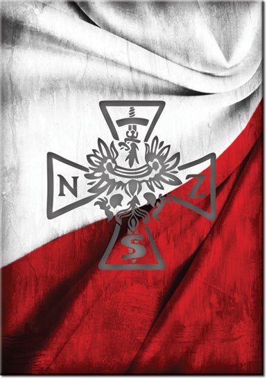 obraz z flagą polski