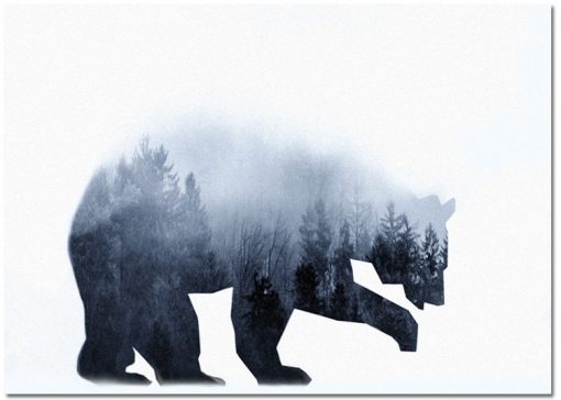 plakat z niedźwiedziem