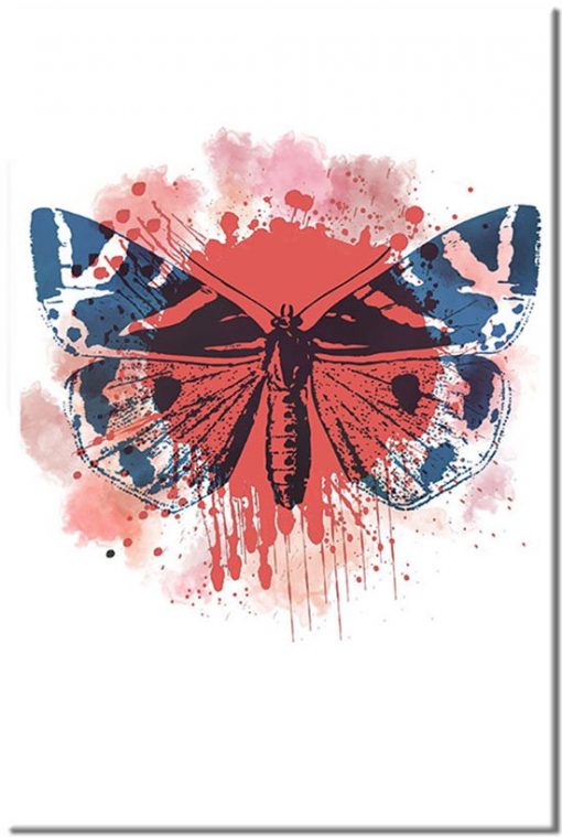 plakaty z motylami