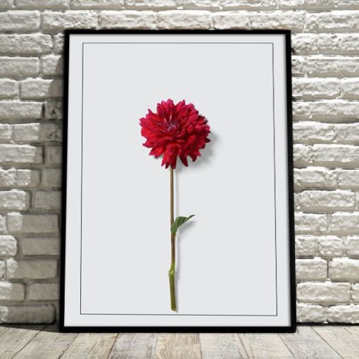 Plakat z czerwonym kwiatem