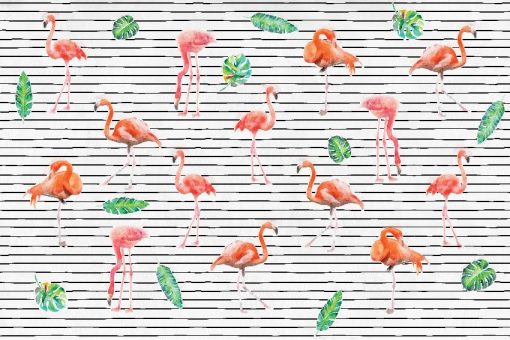 tapety z flamingami