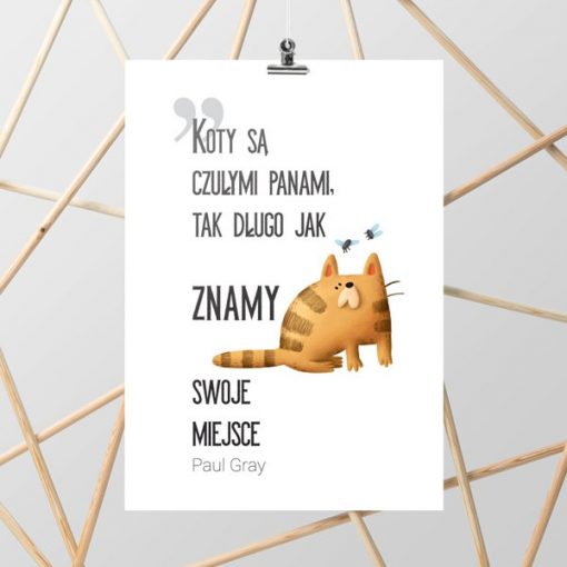 polski napis o kotach na plakacie