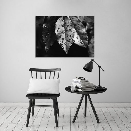 obraz czarno-biały z liśćmi