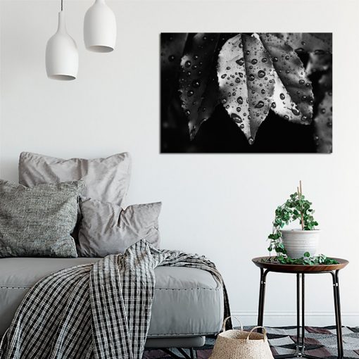 biało-czarne liście na obrazie