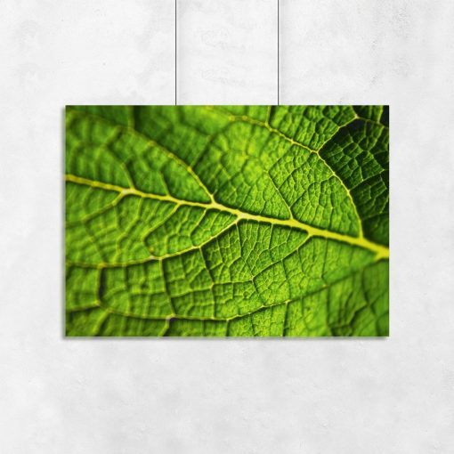zielony liść na plakacie