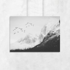 plakat z motywem góry i ptaków