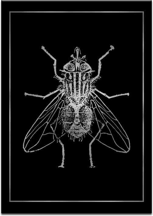 srebrny plakat z motywem muchy