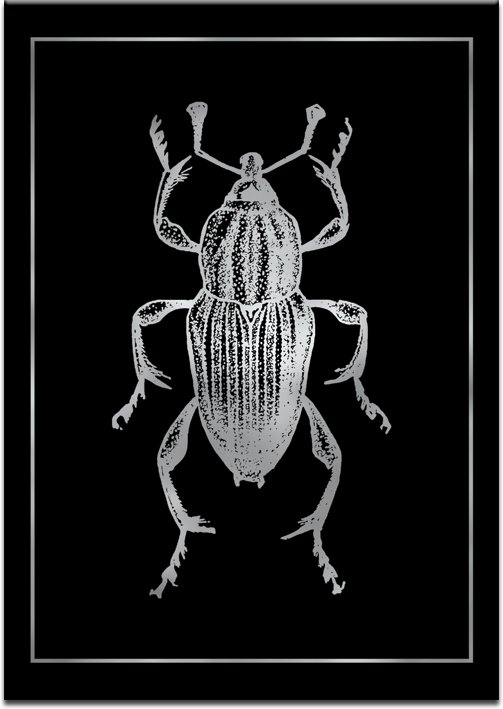czarne tło plakatu ze srebrnym robakiem