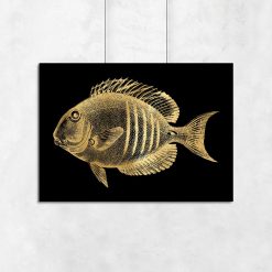 plakat ze złotą rybką
