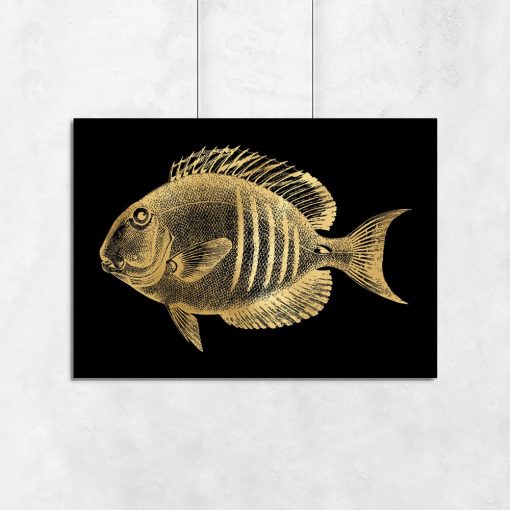 plakat ze złotą rybką
