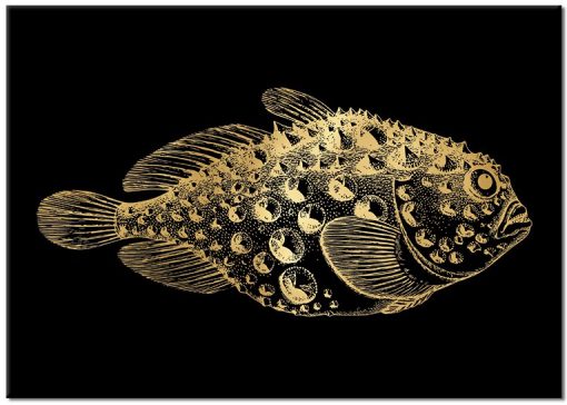 motyw złotej rybki na plakacie