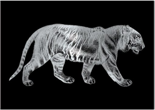 plakat ze srebrnym tygrysem