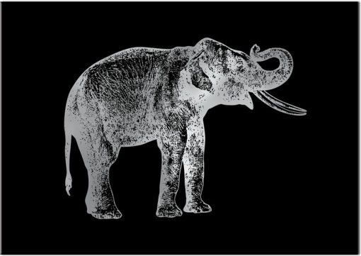 plakat ze srebrnym słoniem
