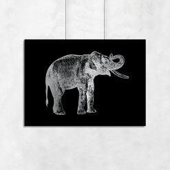 słoń na plakacie