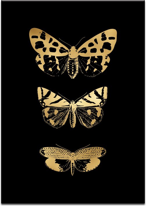 czarny plakat z motylkami