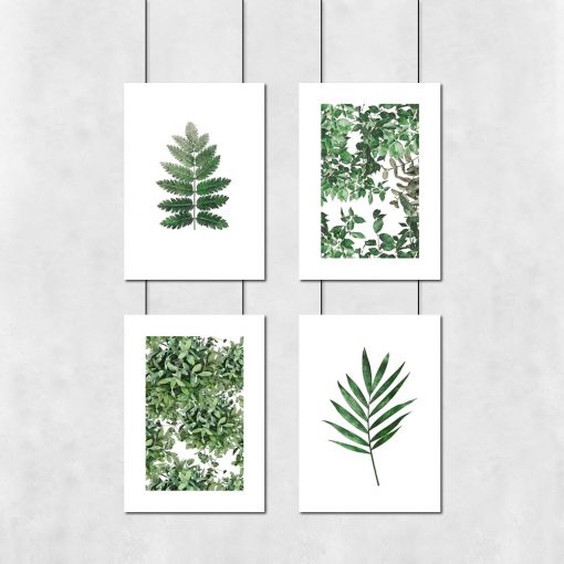 zestaw plakatów botanicznych