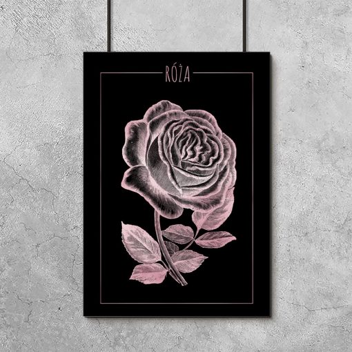 plakaty z różą