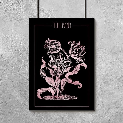 plakaty z tulipanami