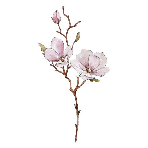 Naklejka gałązka magnolii