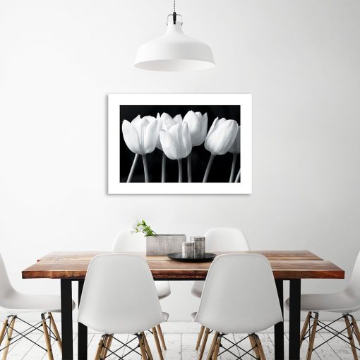 Czarno-biały plakat z tulipanami