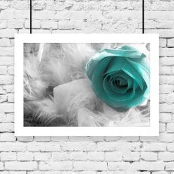 Plakat piórka i turkusowa róża