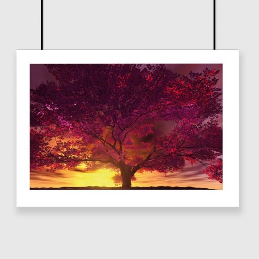 plakat zachód słońca i drzewo na ścianę