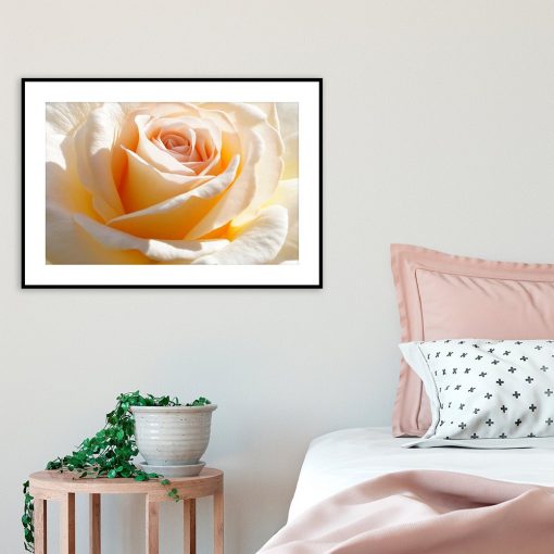 plakat z motywem róży nad łóżo