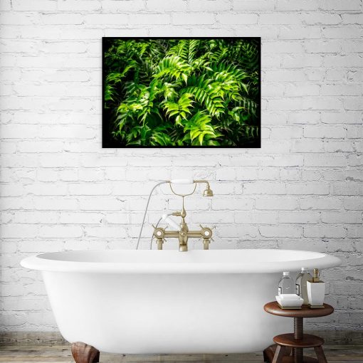 plakat rośliny w łazience nad wannę