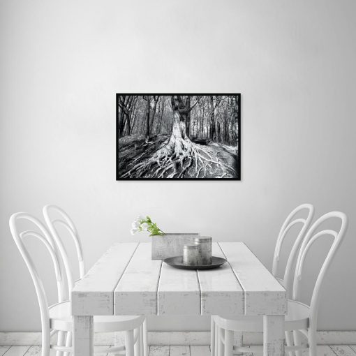 plakat z motywem drzewa w lesie nad stołem