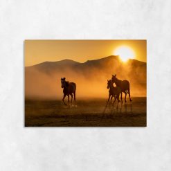 Obraz konie na pustyni