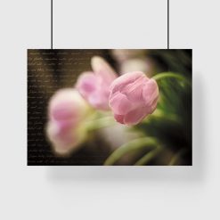 plakat z tulipanami na ścianę