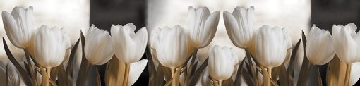 fototapeta kuchenna z tulipanami
