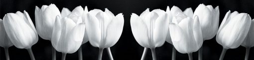 tapeta kuchenna czarno-białe tulipany
