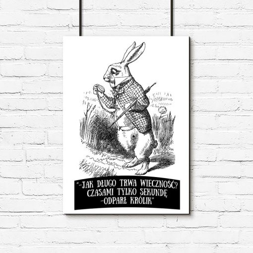 plakat czarno-biały z królikiem