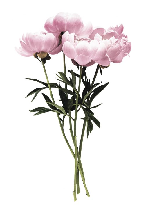 dekoracja różowa z kwiatami na plakacie