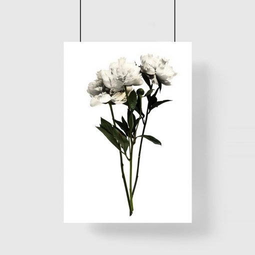 białe kwiaty na plakacie do salonu