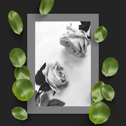 Plakat z dwiema różami