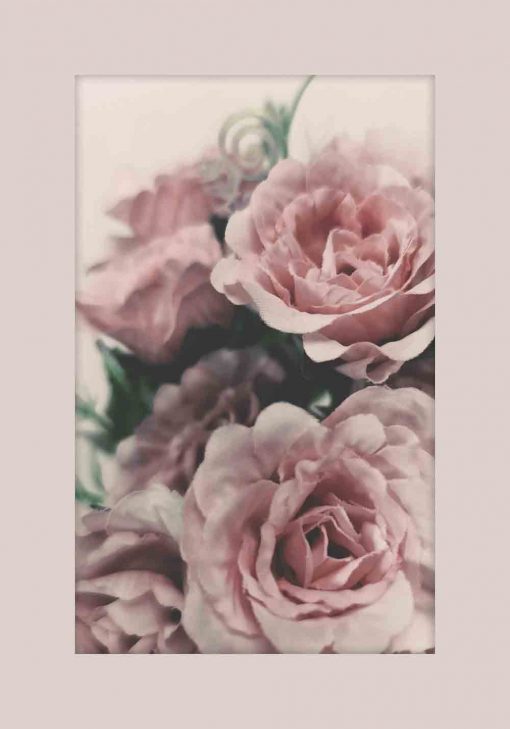 Plakat z bukietem różowych róż