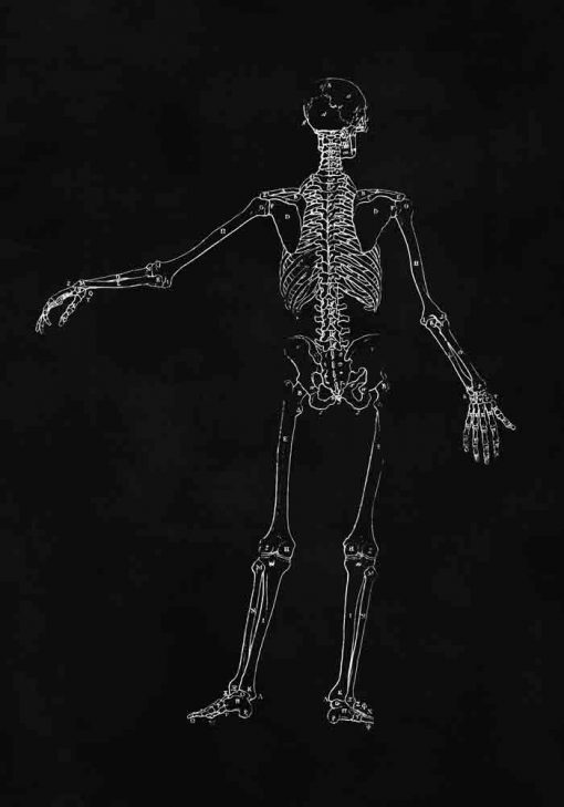 Plakat ze szkieletem człowieka