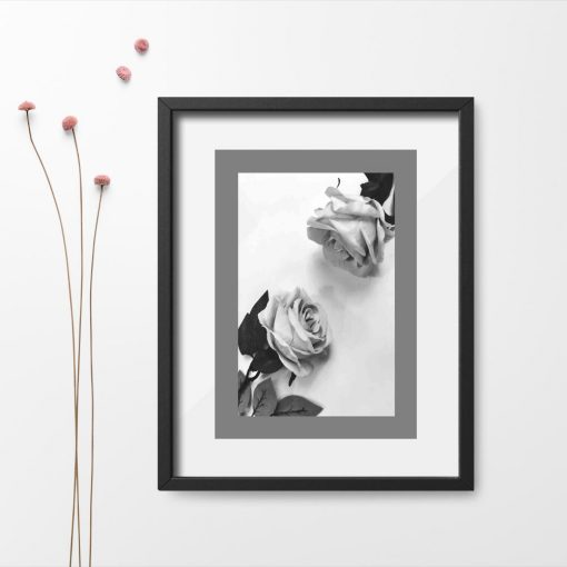 Plakat przedstawiający szare róże
