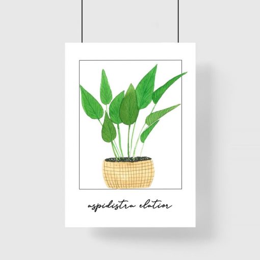 Plakat z rośliną do salonu