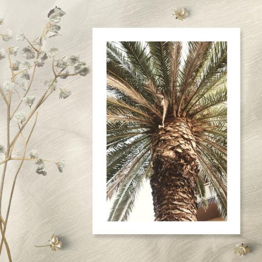 Plakat do salonu - Motyw egzotycznej palmy
