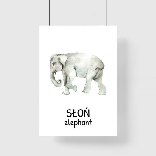 Plakat edukacyjny ze słoniem dla dziecka
