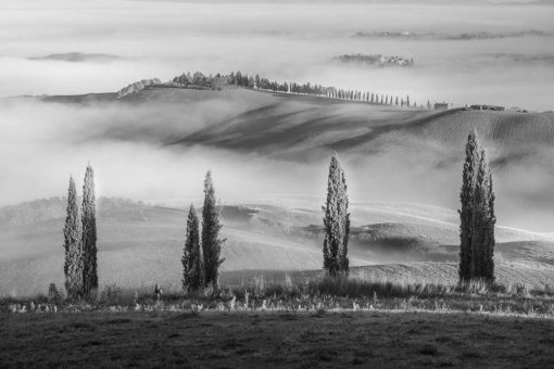 Obraz szary krajobraz w oparach mgły