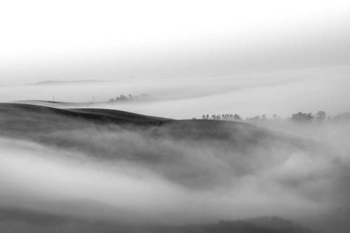 Obraz tumany mgły nad polami
