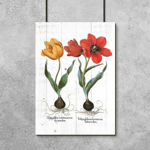 Plakat z tulipanami do salonu