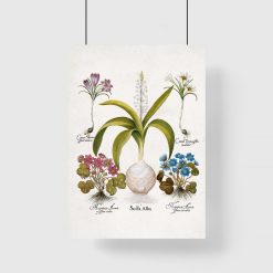 Plakat dla florysty z kwiatami przylaszczki do przedpokoju
